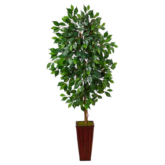 5ft. Ficus Tree in Bamboo Planter
